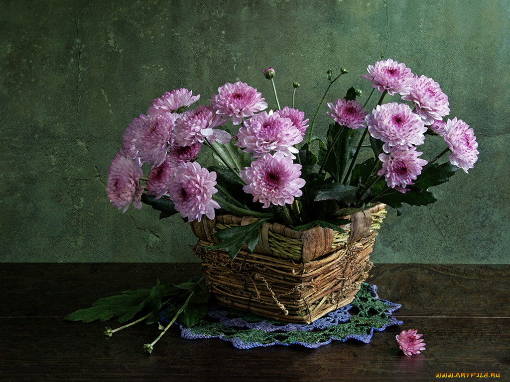 irina, kotlova, , , , 